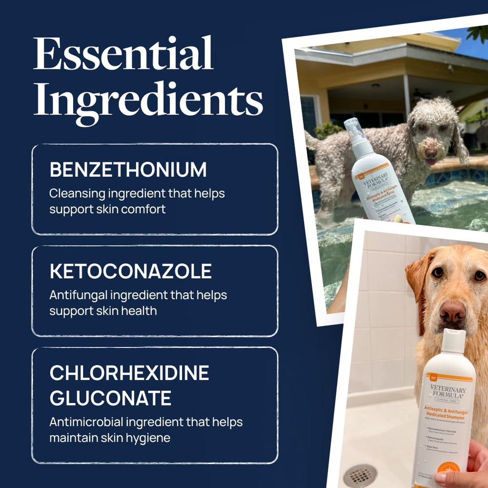 Coat refresh with Veterinary Formula Clinical Care between baths.