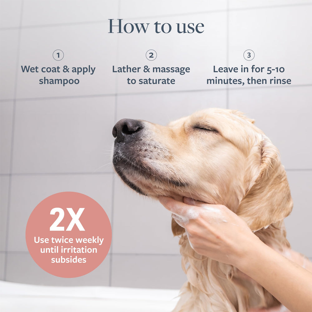 Dog coat looks healthier after Veterinary Formula Clinical Care use.