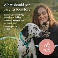 Oatmeal Aloe ingredient focus in Veterinary Formula Clinical Care shampoo.