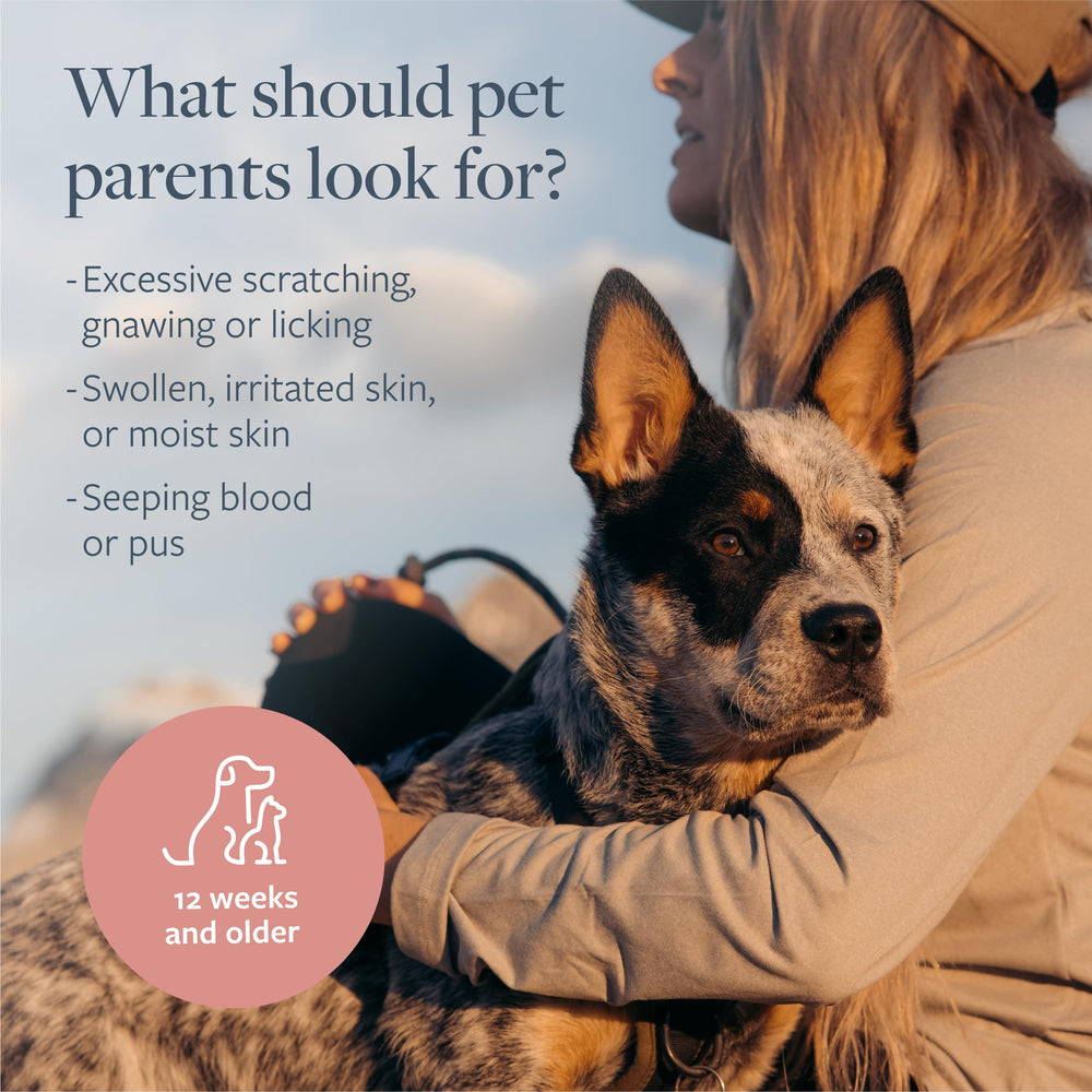 Veterinary Formula clinical-care-shampoo-illustration supports calm, moisturized skin between baths.