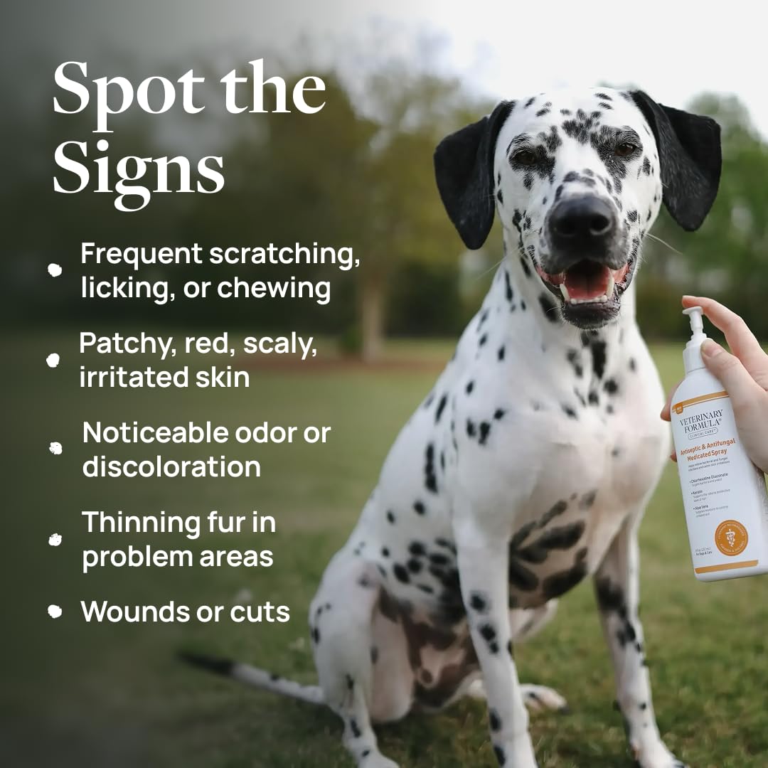 Veterinary Formula Clinical Care antiseptic spray bottle for between-bath skin support.