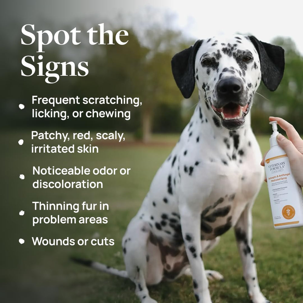 Veterinary Formula Clinical Care antiseptic spray bottle for between-bath skin support.