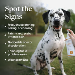Veterinary Formula Clinical Care antiseptic spray bottle for between-bath skin support.