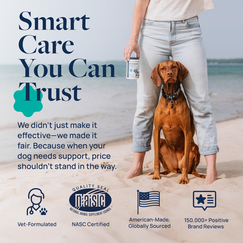 Veterinary Formula Anal Gland Support packaging features NASC quality seal.