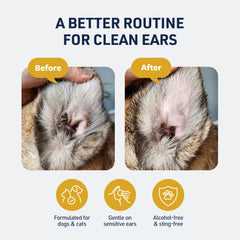 Droppers pouring Ear Therapy to help remove debris from the ear canal.