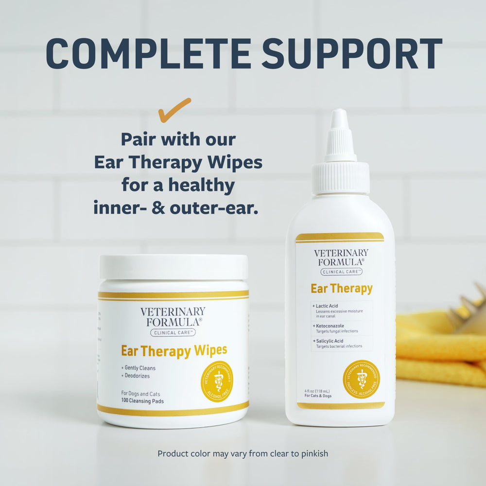 Pet ears drying with a clean tissue after using Ear Therapy.