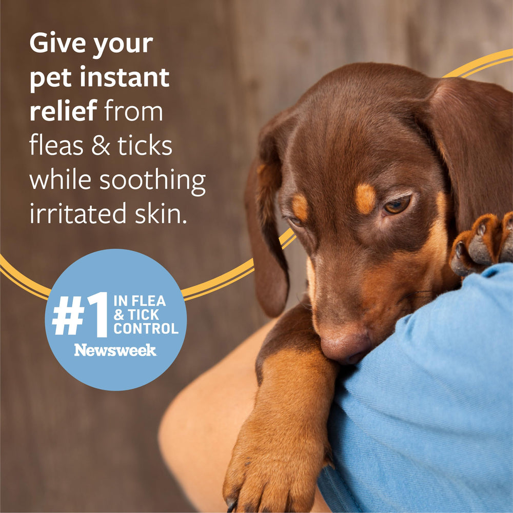 Veterinary Formula skin-soothing features Aloe Vera and Lanolin for irritated skin relief