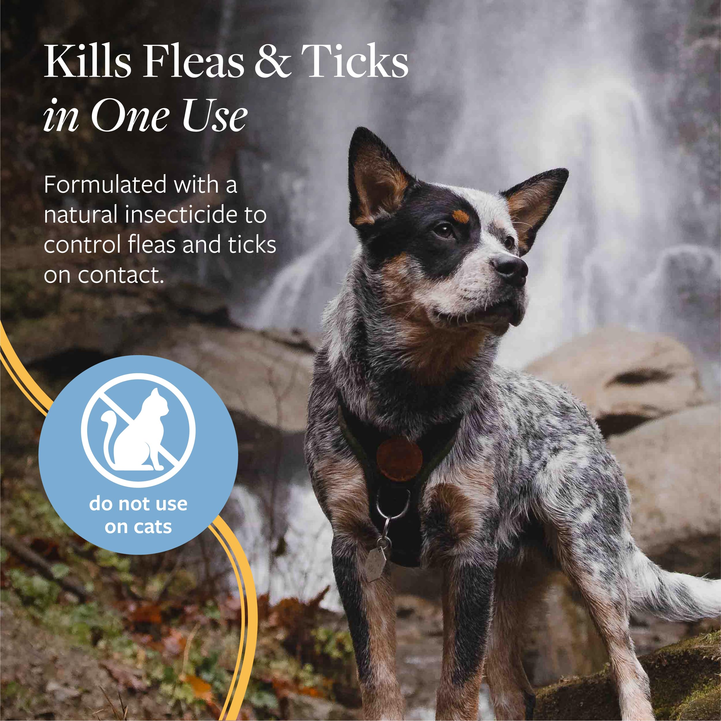 Close-up of Veterinary Formula ingredients highlighting safe flea control