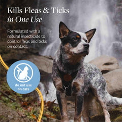 Close-up of Veterinary Formula ingredients highlighting safe flea control