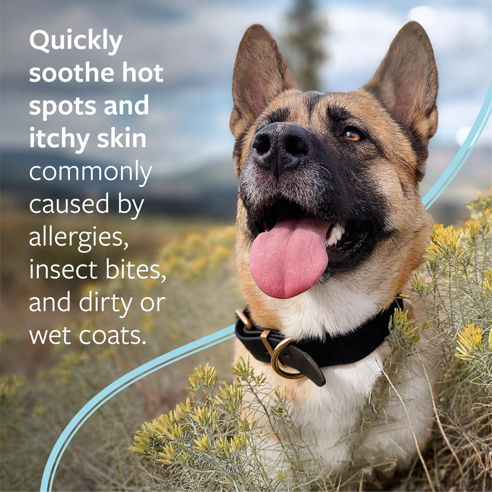 Veterinary Formula hot-spot-spray dog-application showing quick relief for itchy skin.