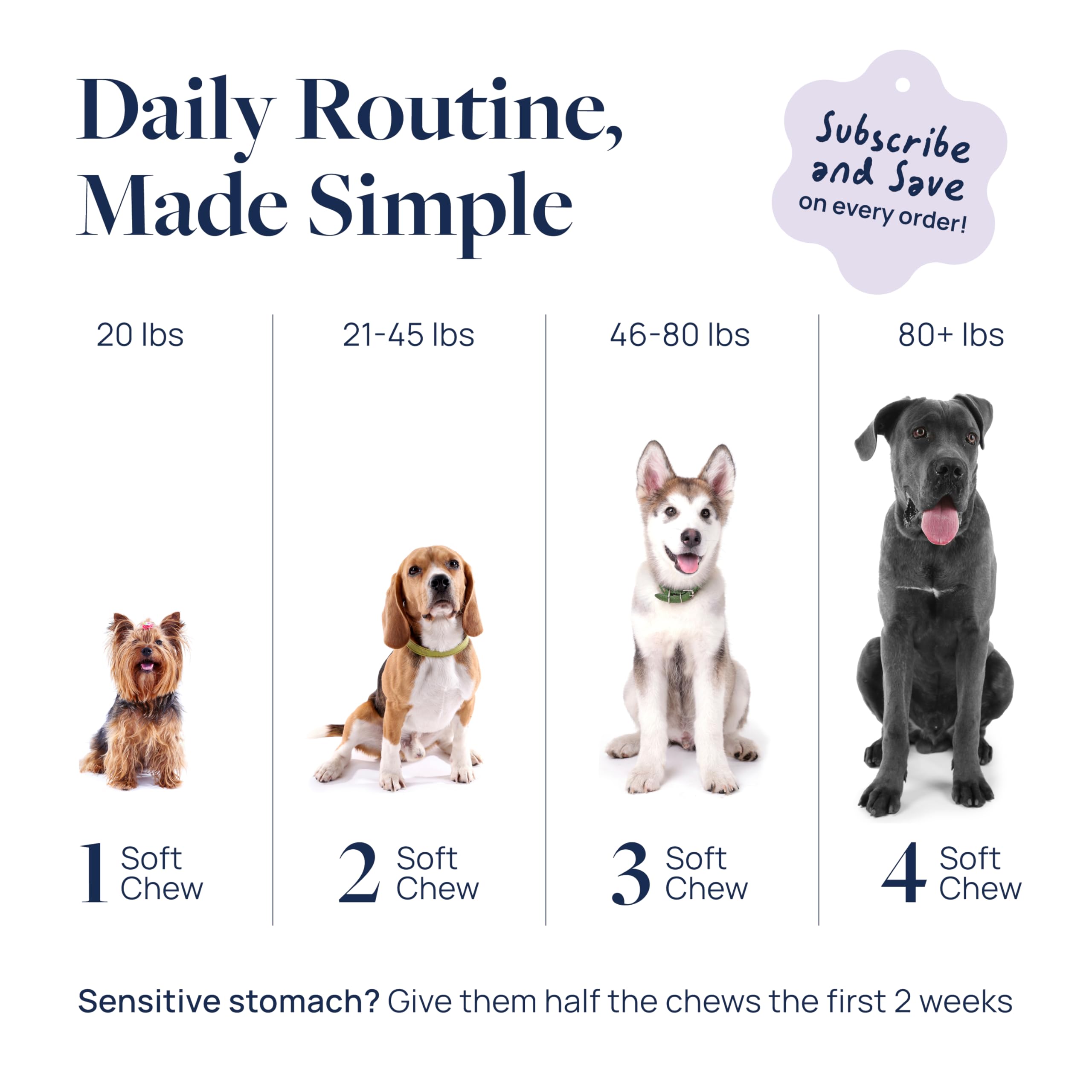 Veterinary Formula Pet Calm ideal for car rides and vet visits