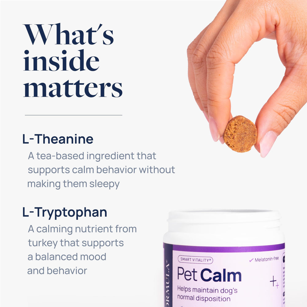Veterinary Formula Pet Calm dog eating chew demonstrates easy dosing