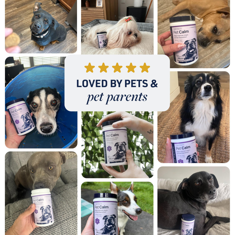 Veterinary Formula Pet Calm chew shown with USA-made branding