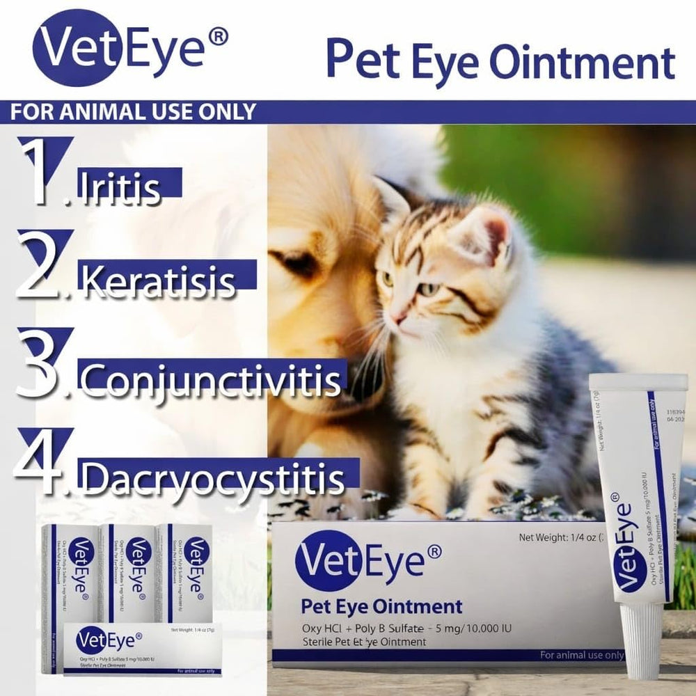 VetEye eye-ointment-cat-care illustrates direct relief for feline eye issues.
