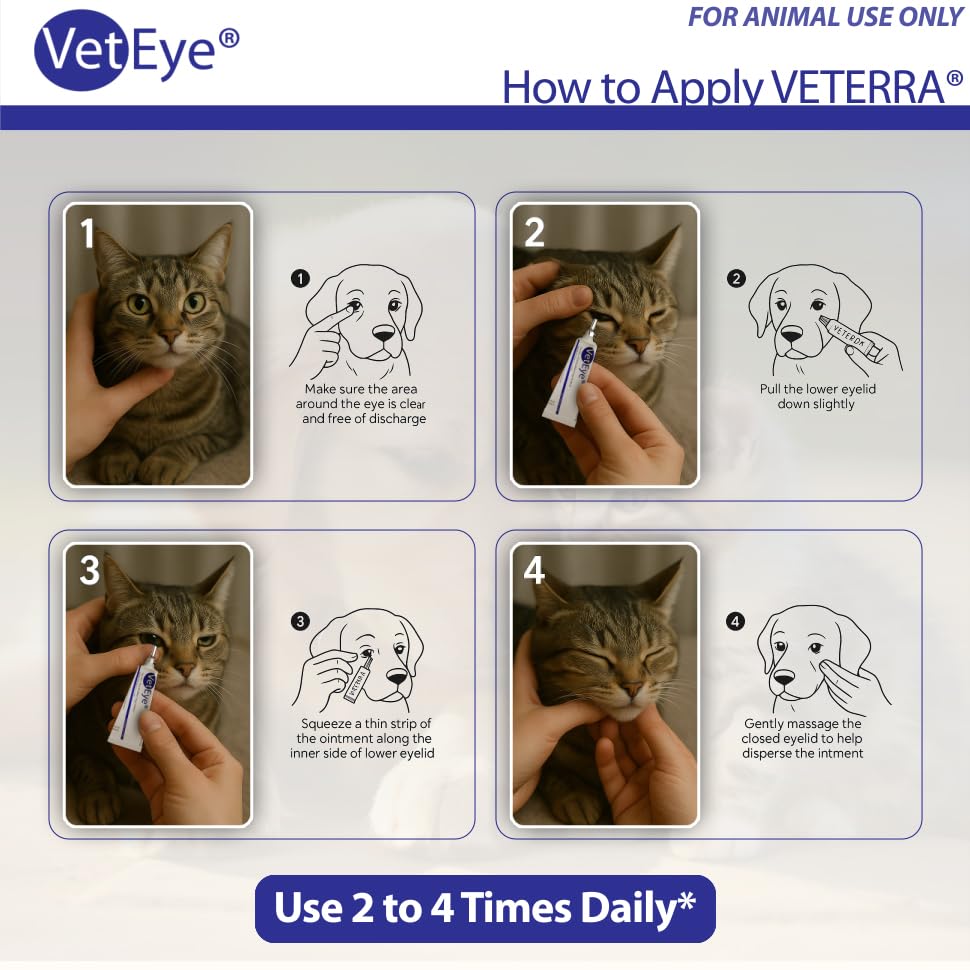 VetEye eye-ointment-dog-application shows easy dog eye care without extra tools.