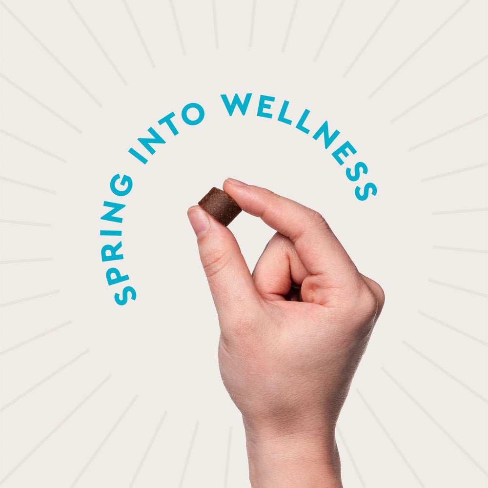 VetIQ Advanced Calming Chews soft chews close-up, tasty hickory smoke flavor
