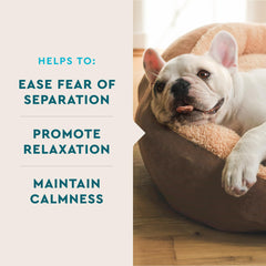 VetIQ Advanced Calming Chews pack close-up, NASC-certified safety