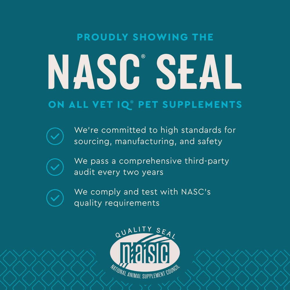 VetIQ Advanced Calming Chews during thunderstorm scene, helps stay composed