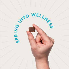 VetIQ chicken-flavored soft chews look tasty and support joint comfort.