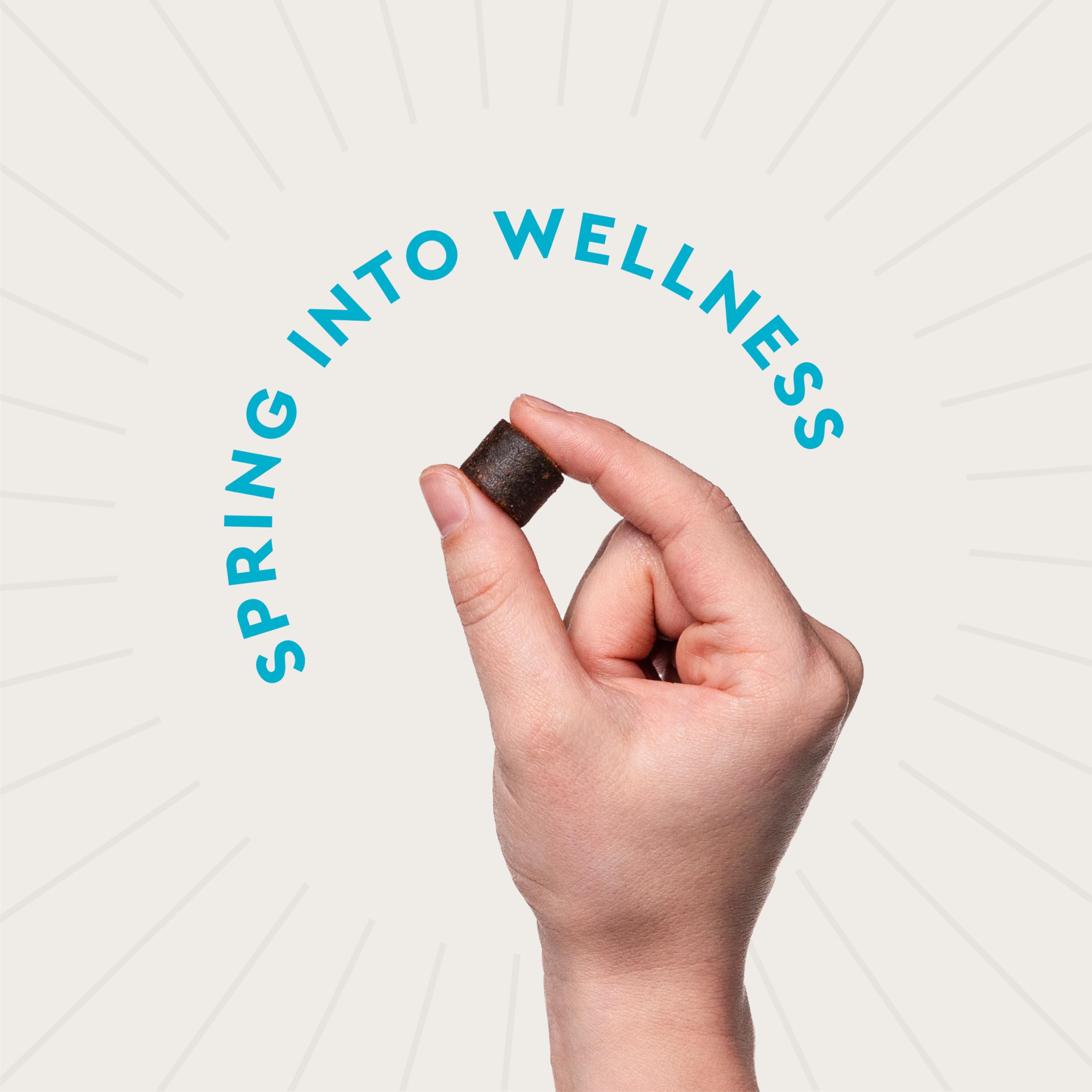 VETIQ Calming Chews on a plate, tasty treat that supports relaxation after activities