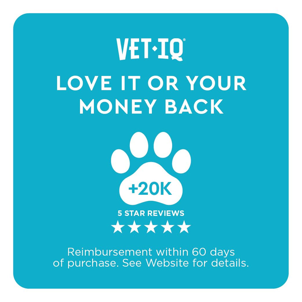 Active dog at the park with VetIQ chews suggests ongoing mobility support.