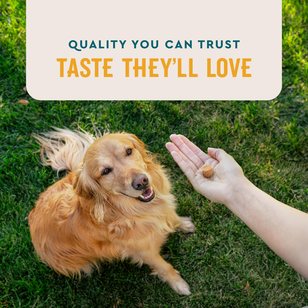VetIQ Flea & Tick Support with brewer’s yeast boosts immune health.