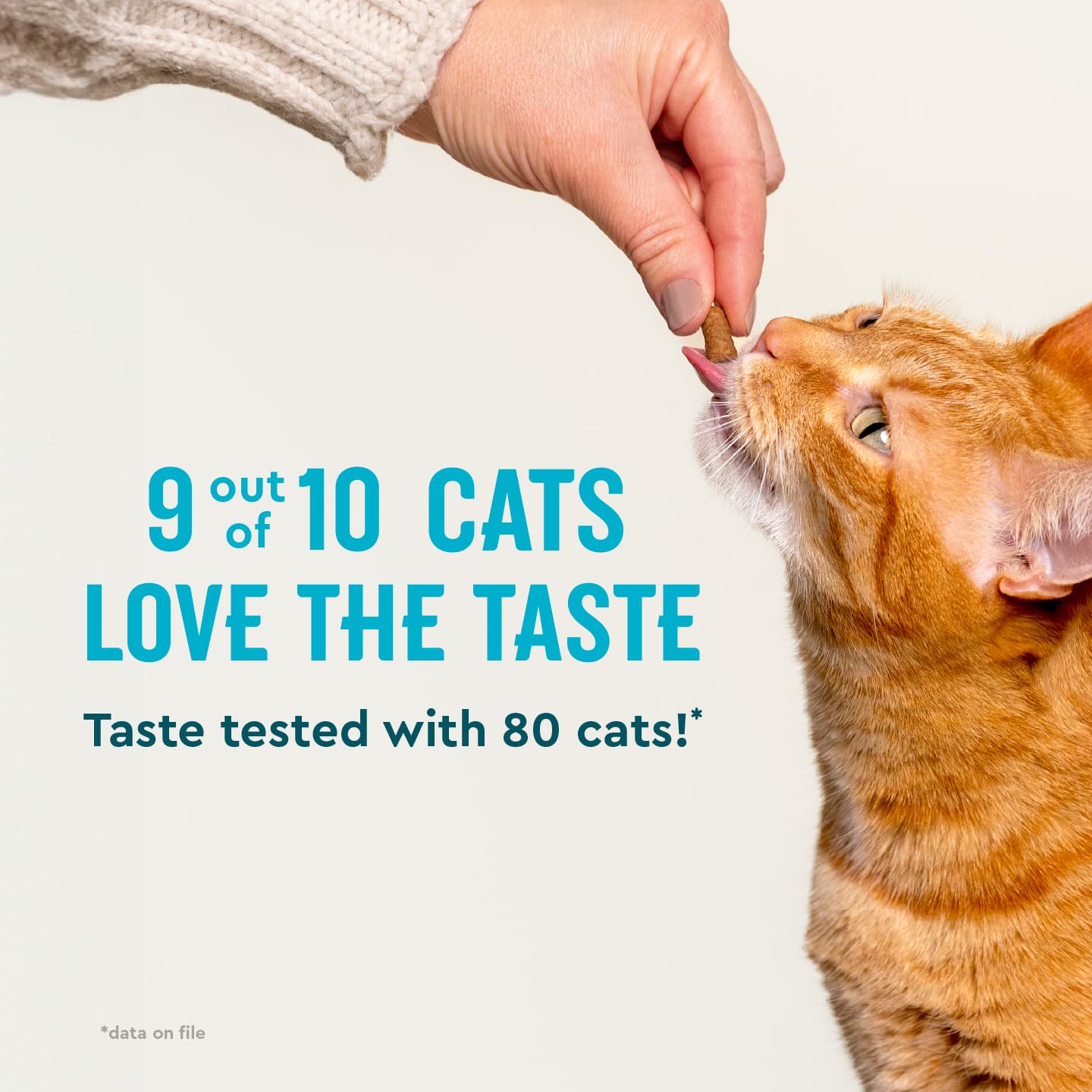 VetIQ moules vertes soutien mobilité chat