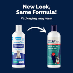 Dermabliss bottle label close-up showing 2% Chlorhexidine and 1% Ketoconazole
