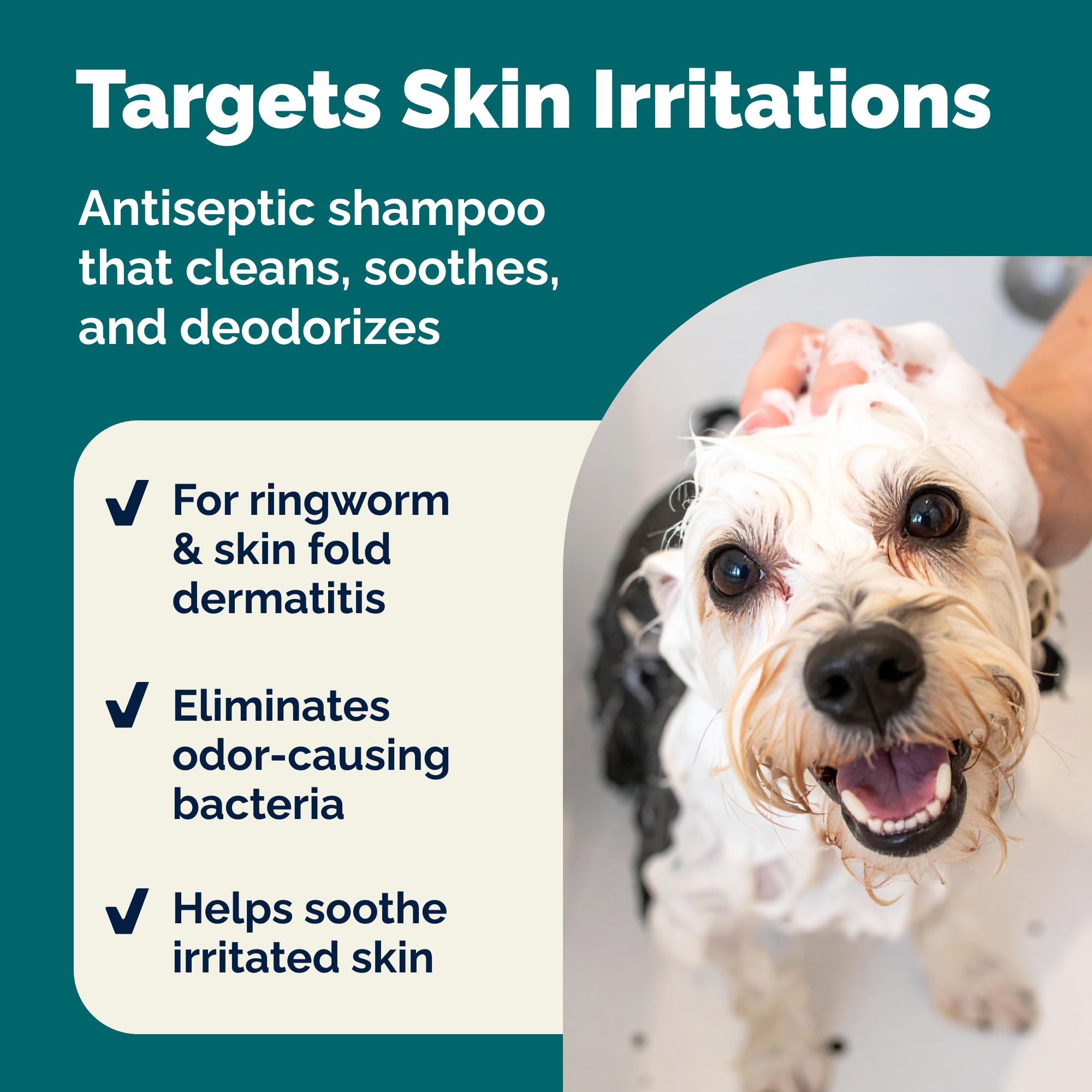 Dermabliss shampoo lather ready for at‑home dog or cat bath