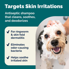 Dermabliss shampoo lather ready for at‑home dog or cat bath