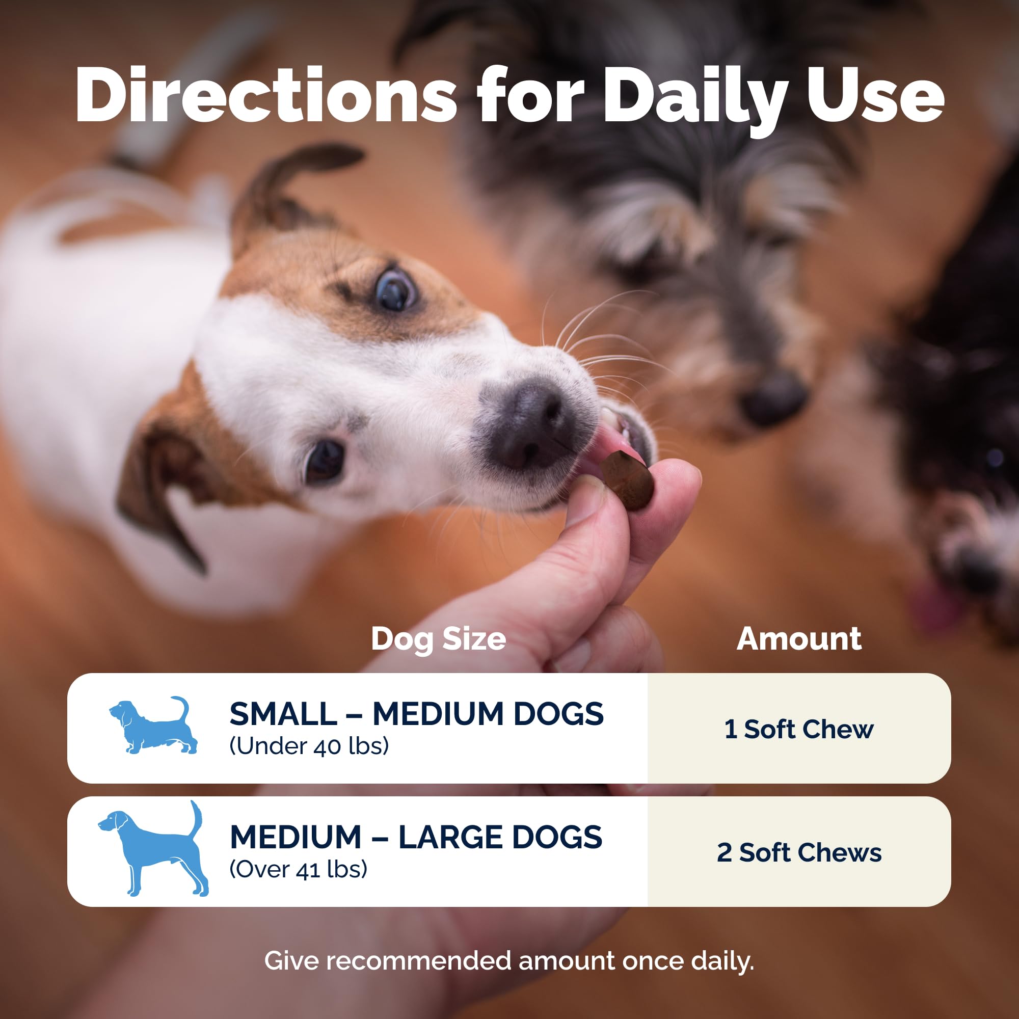 Illustration of using Glandex powder topper with dog meals.