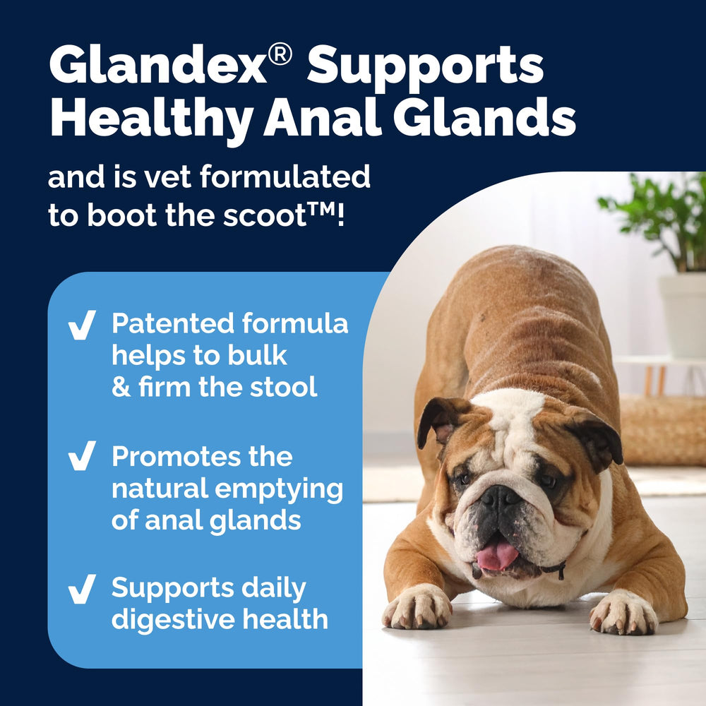 Beef liver flavored Glandex tub highlighting flavor and formulation.