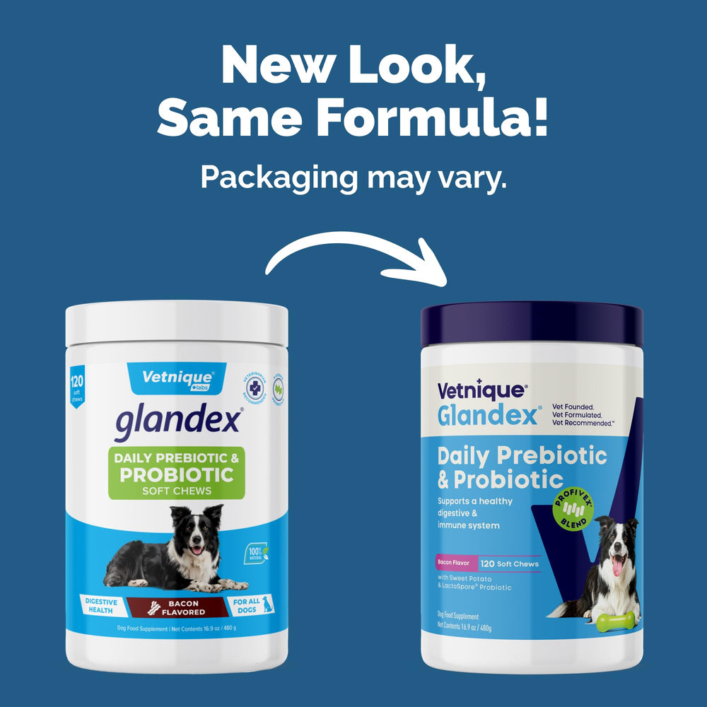Vetnique Glandex daily probiotic powder topper for dogs with fiber.