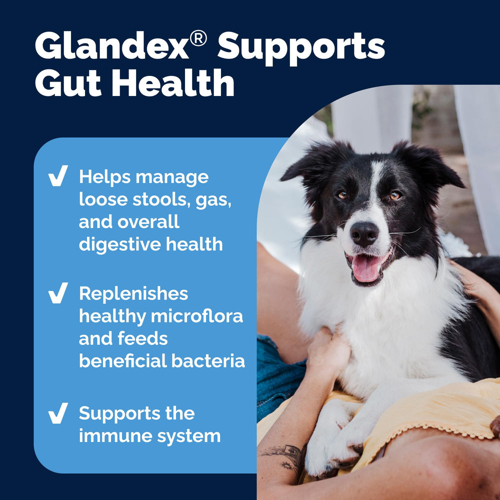 Packaging variations reflect different bottle designs for Glandex probiotics.