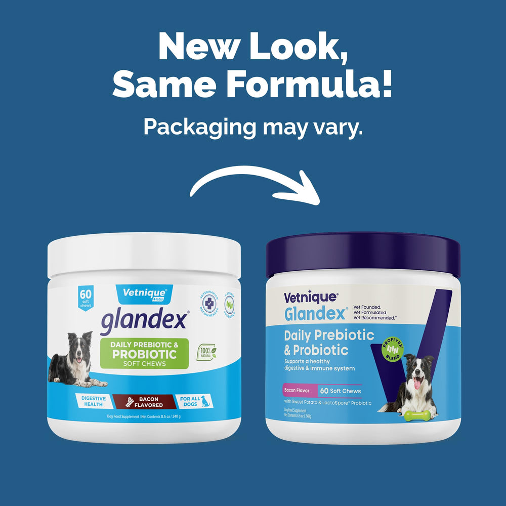 Glandex soft chews on a shelf for convenient digestive support.