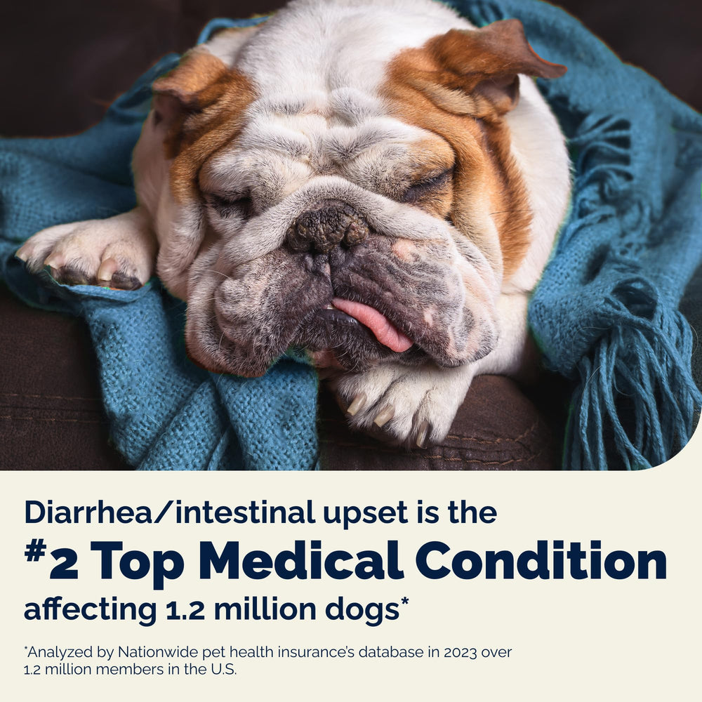 Vetnique Glandex enzyme-inclusive formula aiding digestion in dogs.
