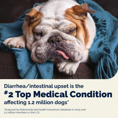 Vetnique Glandex enzyme-inclusive formula aiding digestion in dogs.