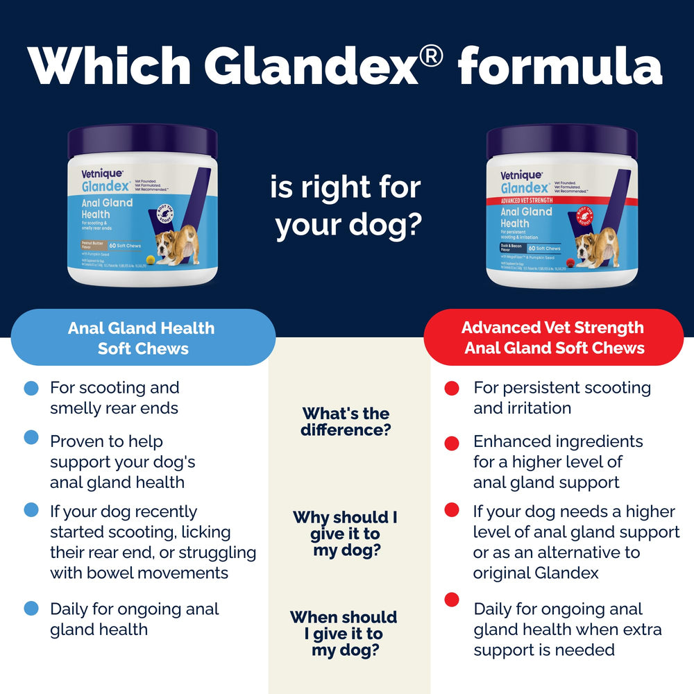 Vetnique Glandex is veterinarian-recommended for canine anal health.