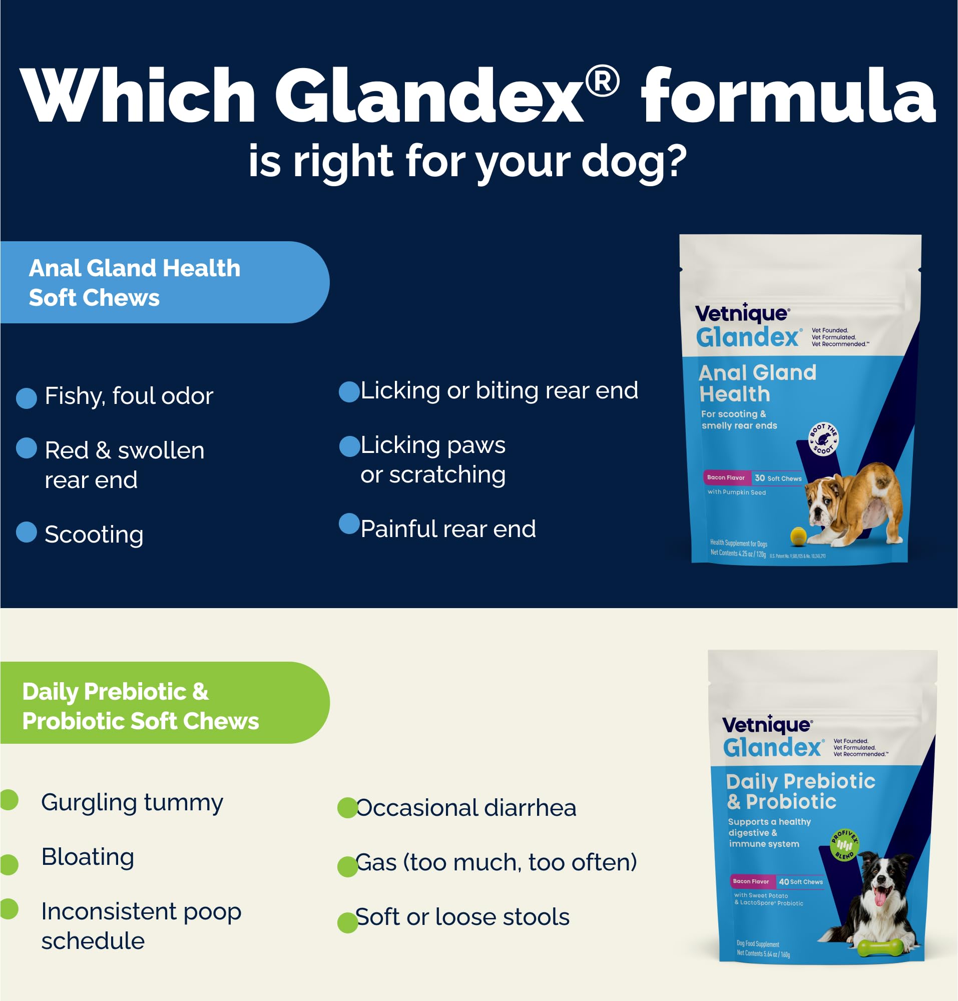 Packaging variation for Vetnique Glandex daily probiotic products.