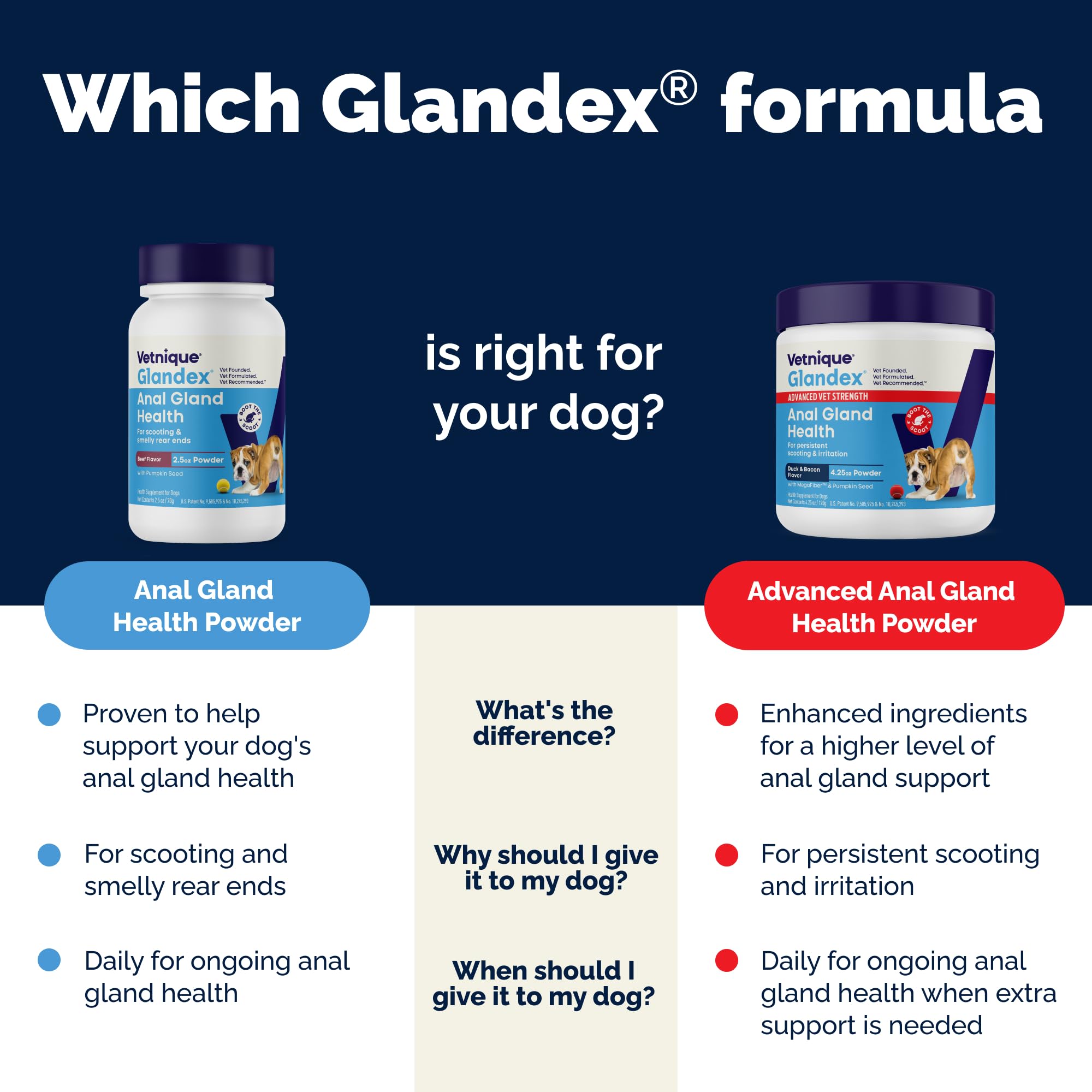 Close-up of pumpkin fiber blend in Glandex for gut health.
