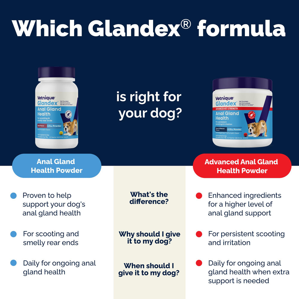 Close-up of pumpkin fiber blend in Glandex for gut health.
