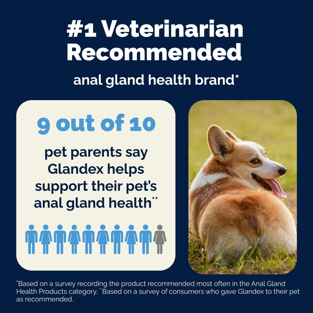 Vet-recommendation seal on Glandex bottle reinforces professional backing