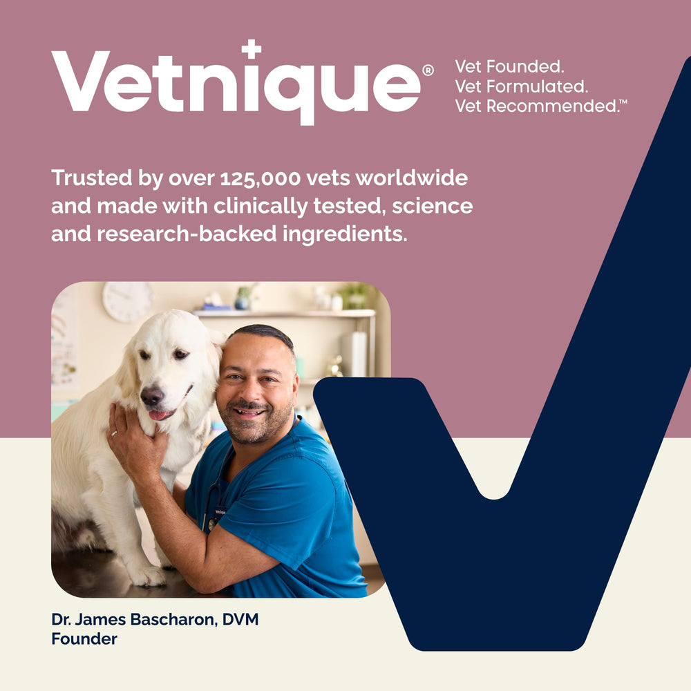 Vetnique Oticbliss brand design with calming blue accents.