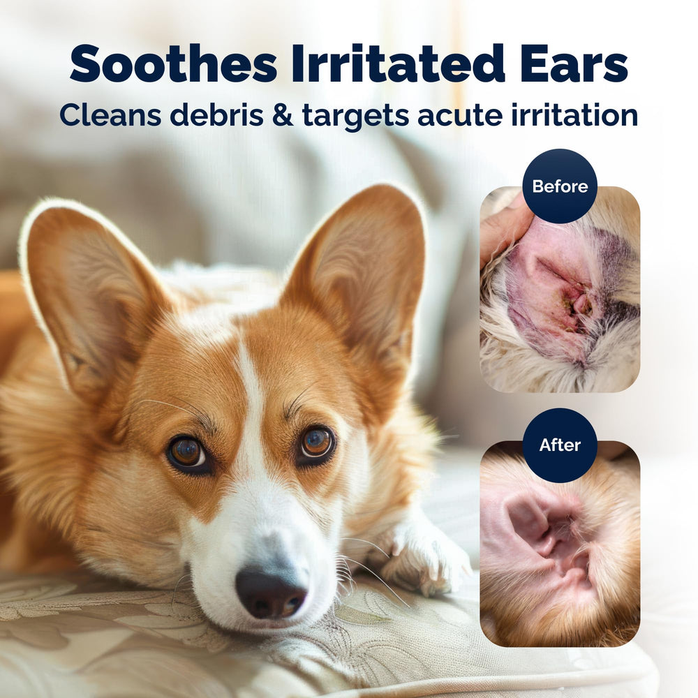 Vetnique Oticbliss dog ear cleaner usage demonstrates irritation relief with balanced formula