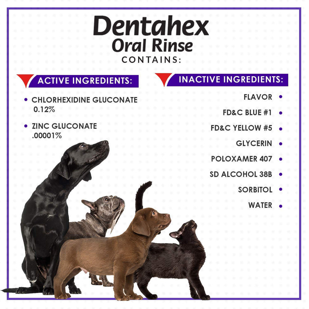 Vetoquinol Dentahex in a home setting shows simple daily dental care for pets.