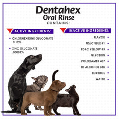 Vetoquinol Dentahex in a home setting shows simple daily dental care for pets.