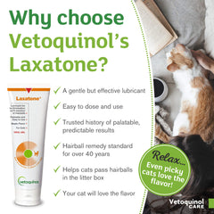 Demonstration of applying Vetoquinol Laxatone maple gel on cat nose or paw