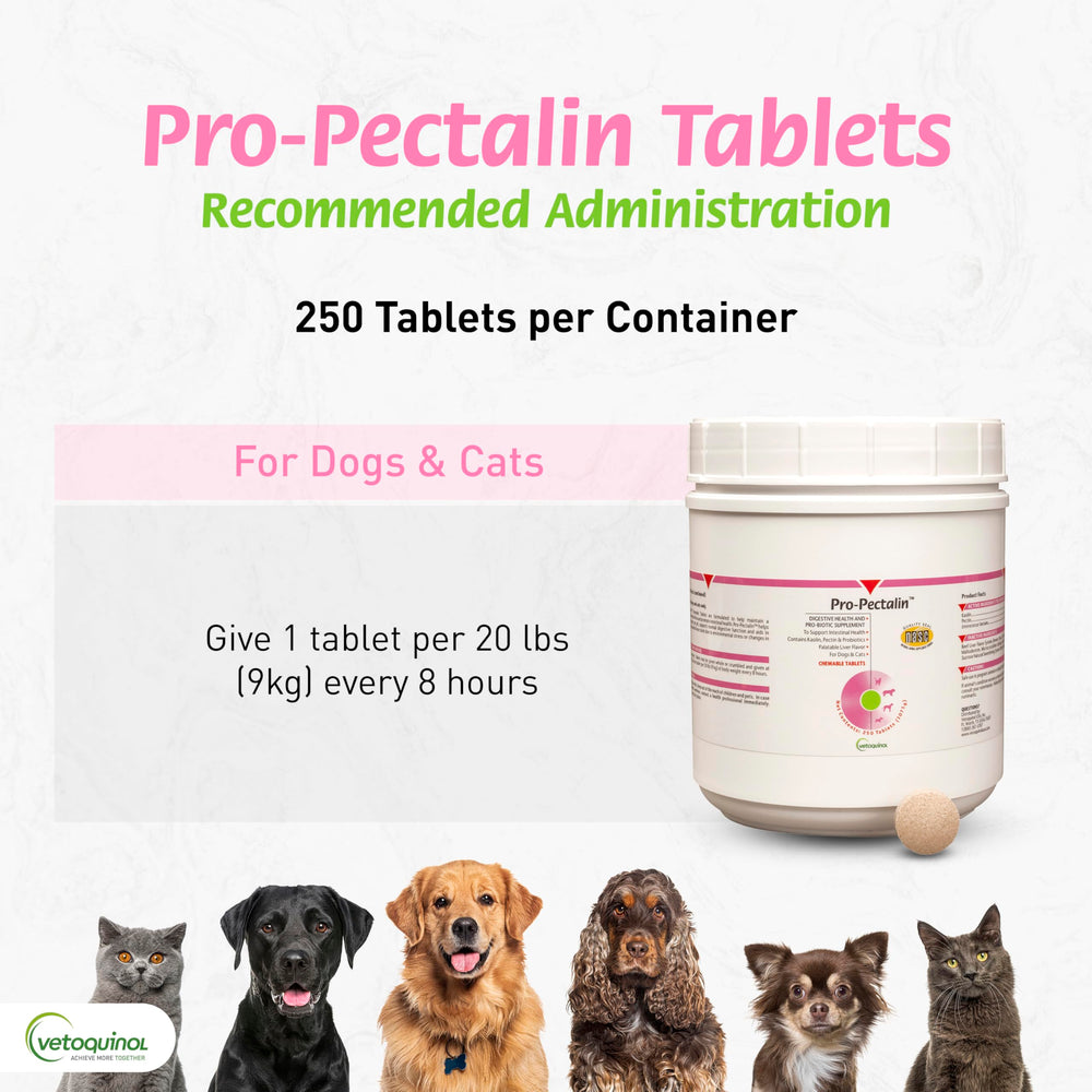 Vetoquinol Pro-Pectalin bottle highlights kaolin and pectin-based formula.