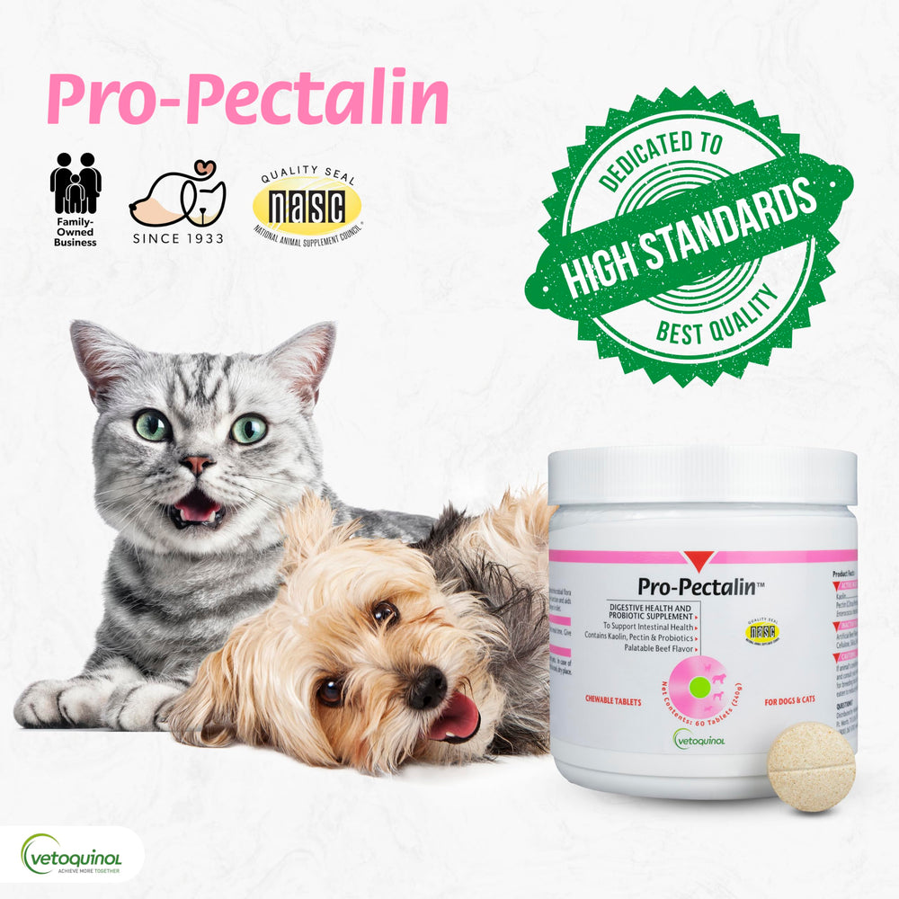 Cat with Pro-Pectalin chewables, illustrating pet-friendly use.