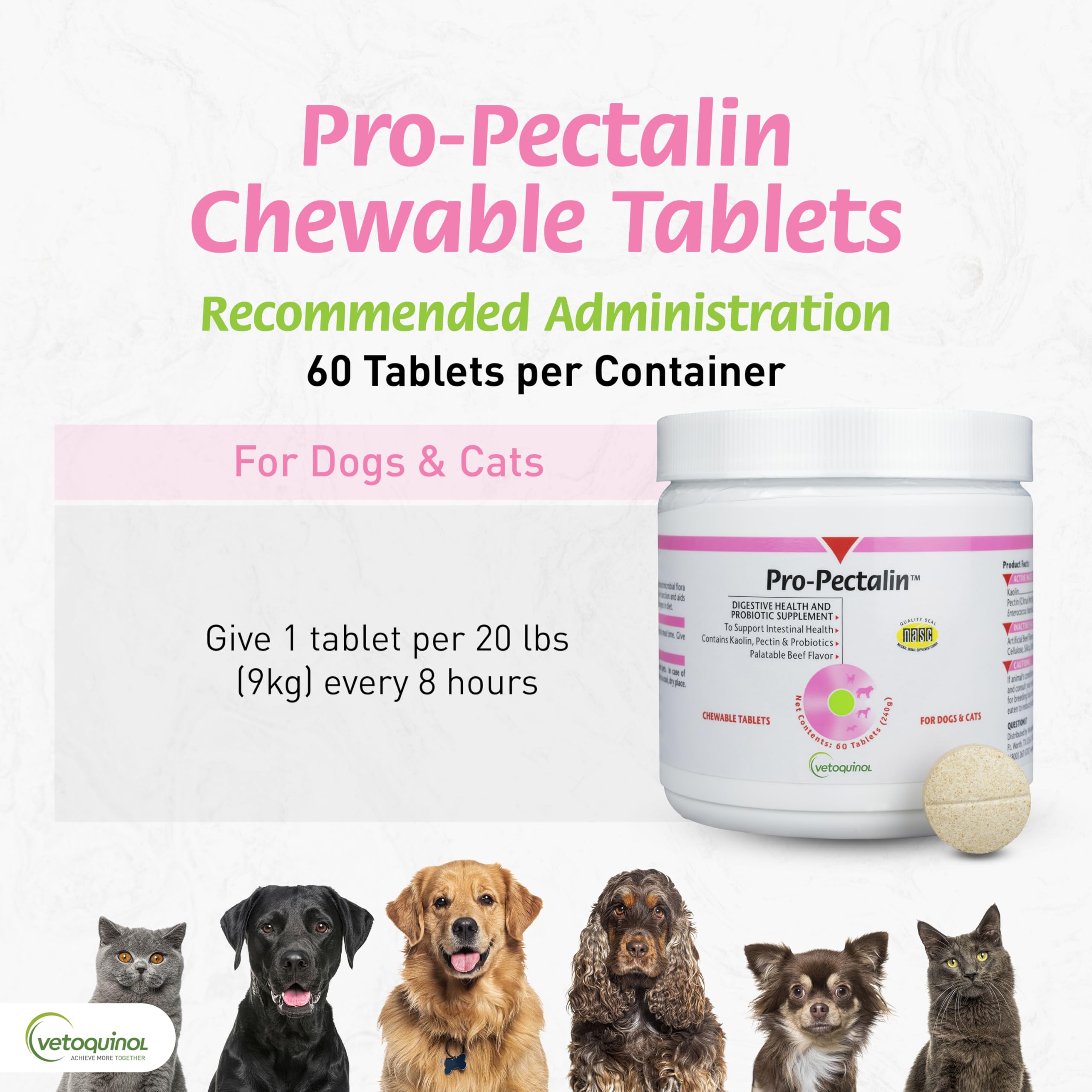 Dog with Pro-Pectalin chewables, illustrating pet-friendly use.